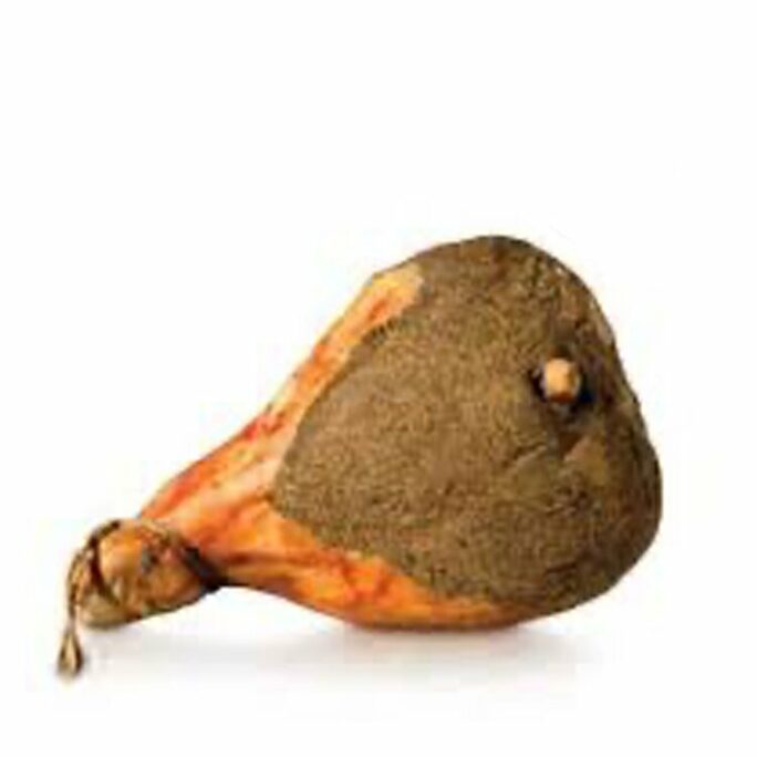whole leg toscasno
